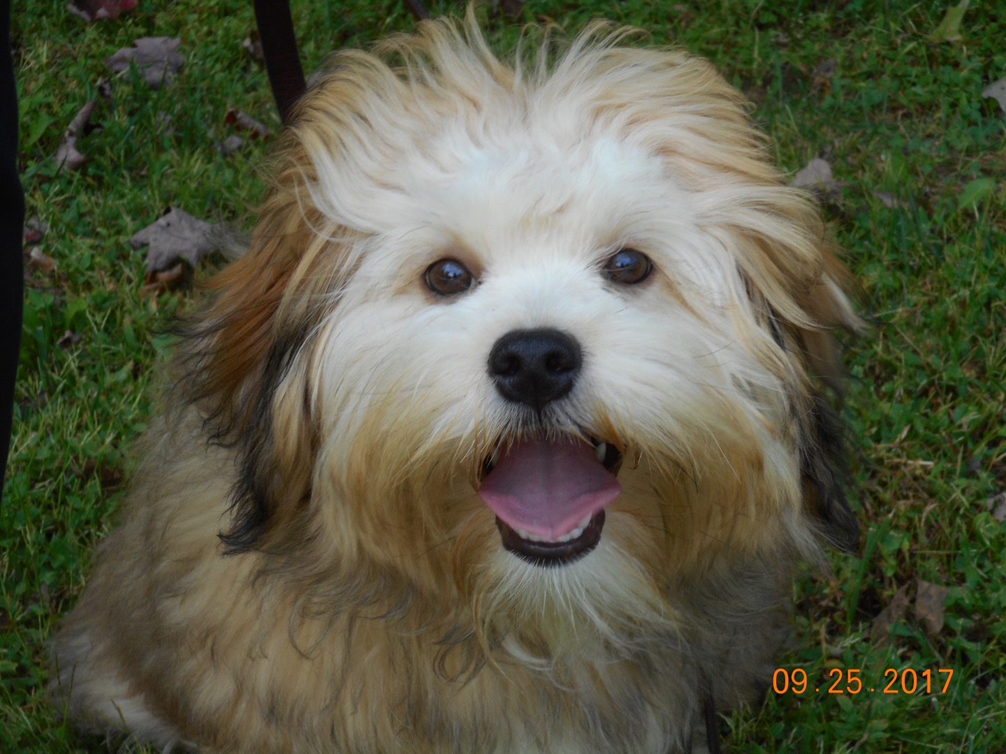 CA012D3C-270E-4F67-9A5E-2292E183CEB9