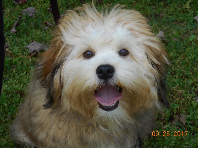 CA012D3C-270E-4F67-9A5E-2292E183CEB9