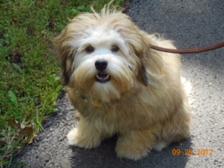 B32A9F88-044B-4FDB-9D3F-C52C86039DD6