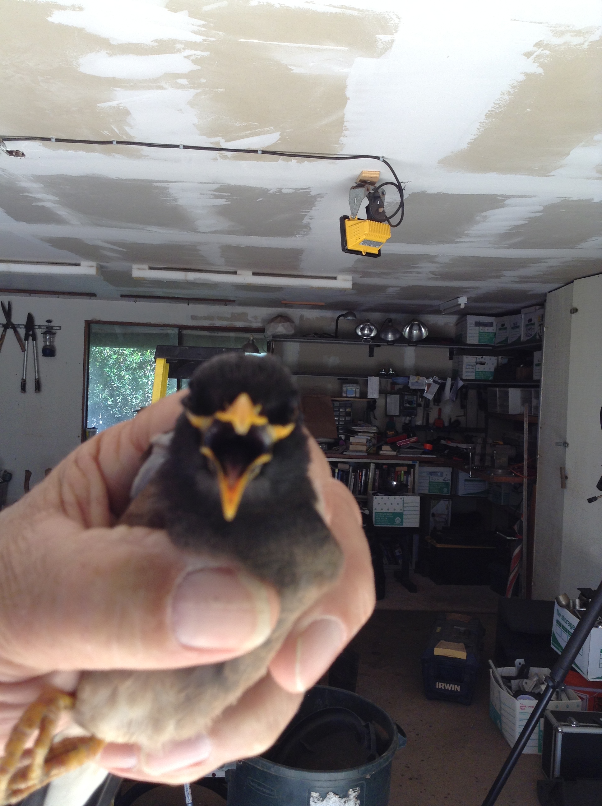 D8C34F9A-2F94-47AE-B55D-6EE56714B079