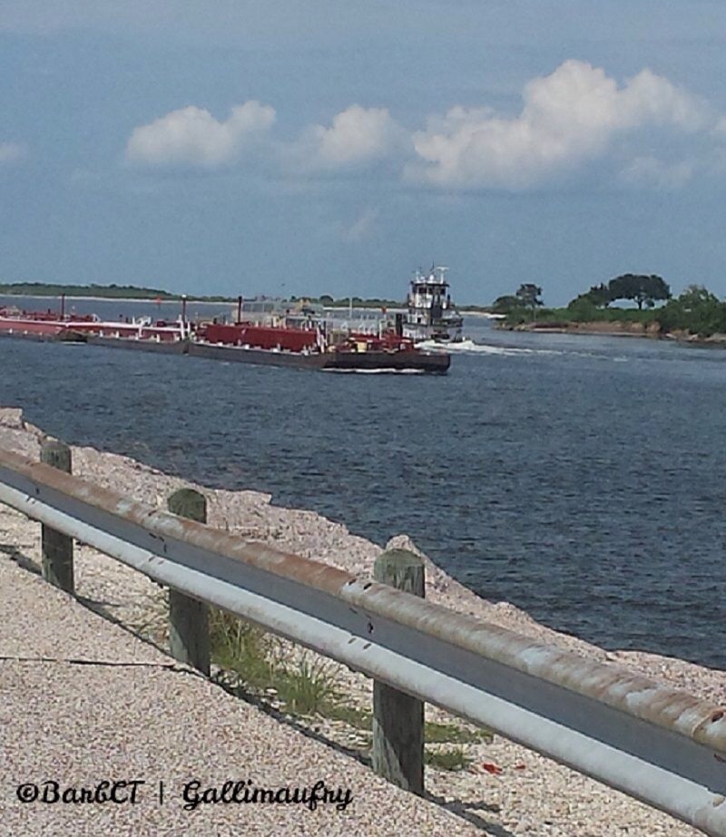 C8BDF61D-3A51-4504-888F-8ECB62C31C1B