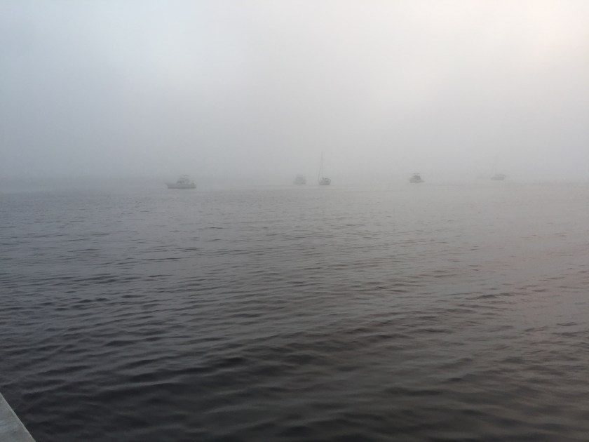 DE37C45F-AF7C-42DA-9738-41C23F48659F