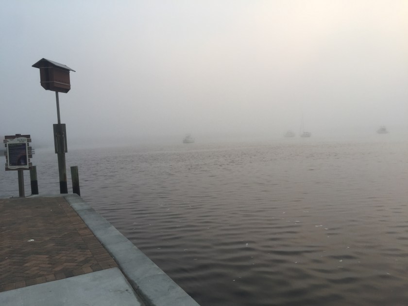 0A268B84-3EC9-47E3-B902-854F23E68527