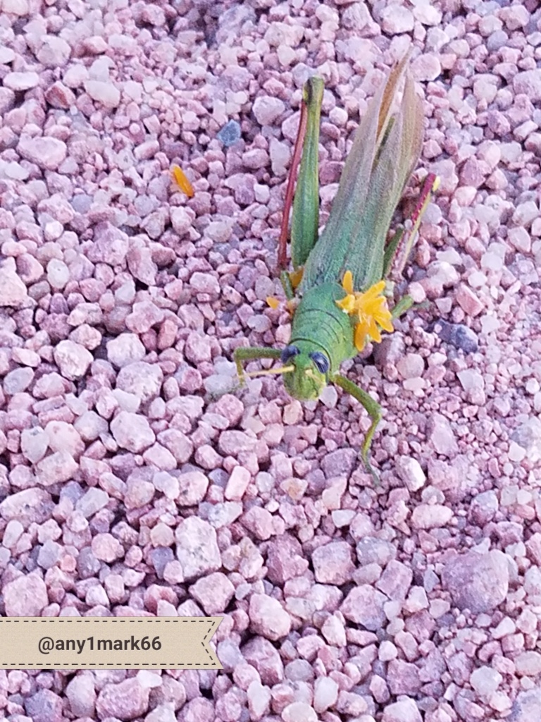 BC629EC5-15FB-4044-9908-45C4A4E50AFF