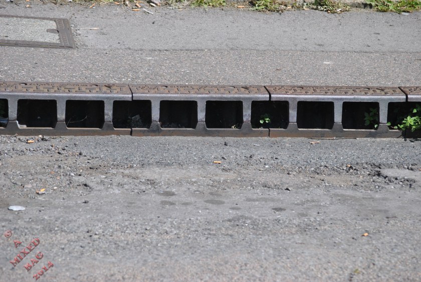 F38E0A21-E62B-4507-879D-0AD42B6DF4D4