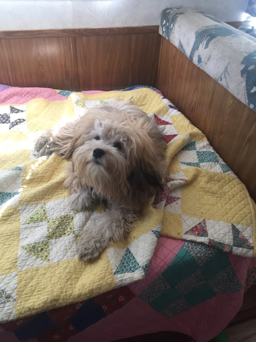 12E732E5-841B-4273-96BD-F0C5832F4505