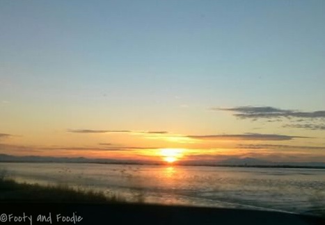 E0A87CC0-3442-47EC-BEDD-077E64625E35