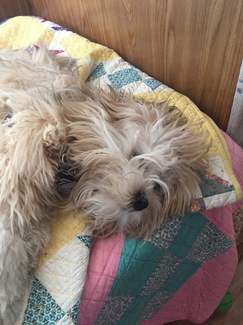 7F15F880-3006-4915-A455-8E8F6EFFA748