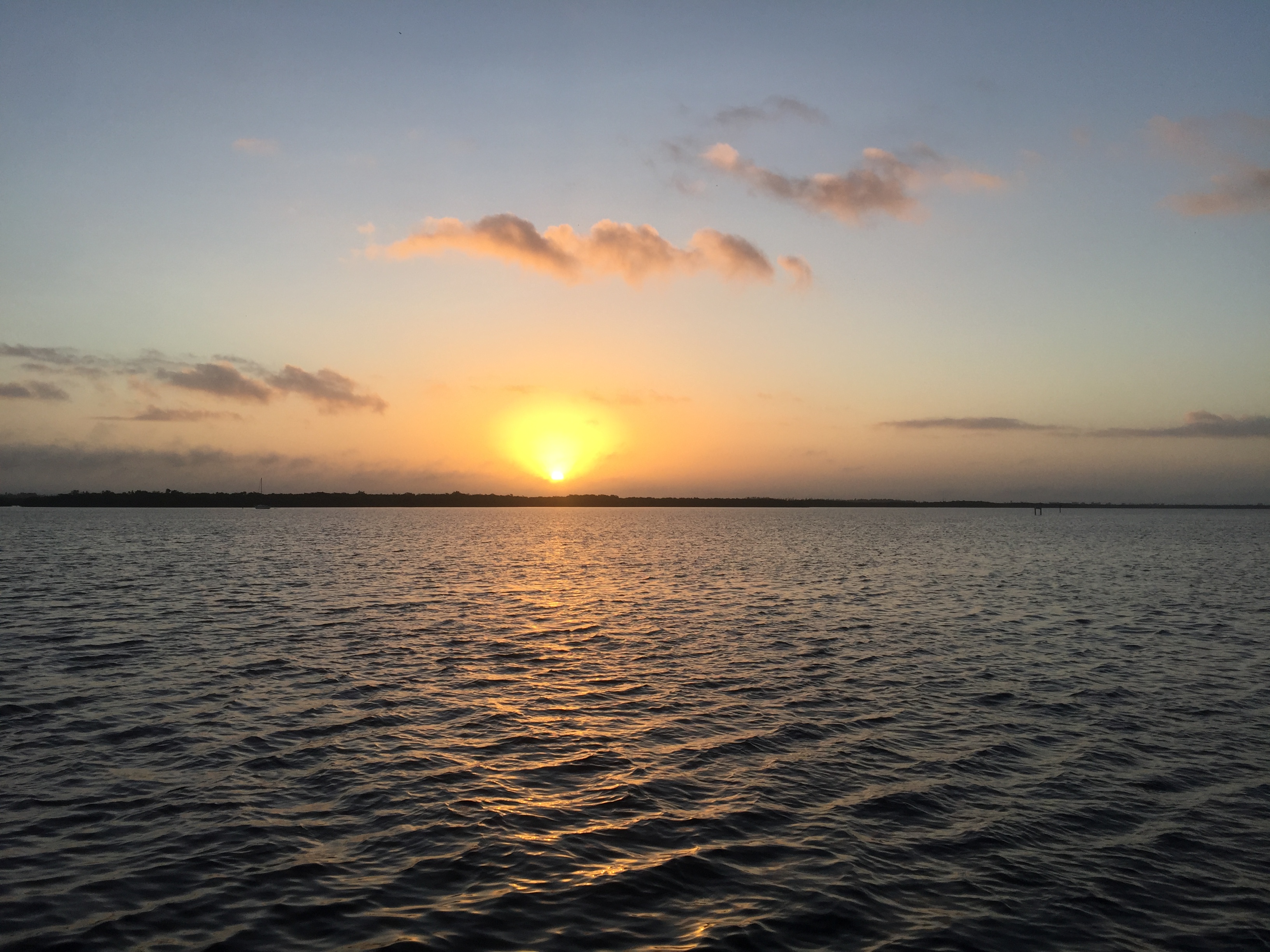 B49B84B4-B33A-401C-8C6E-E994D5E0C7A4