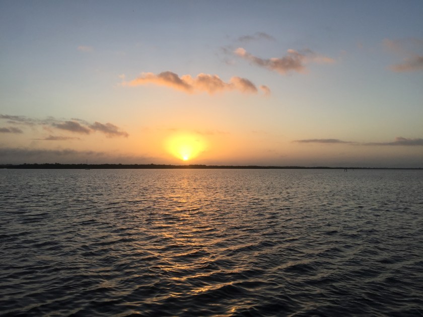 B49B84B4-B33A-401C-8C6E-E994D5E0C7A4