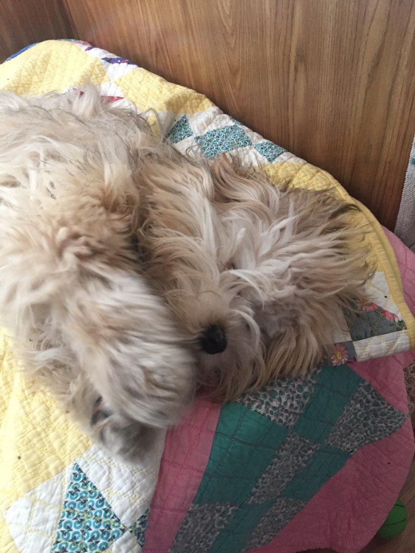 35CFC520-29EF-49B4-B80E-91306FF817D2