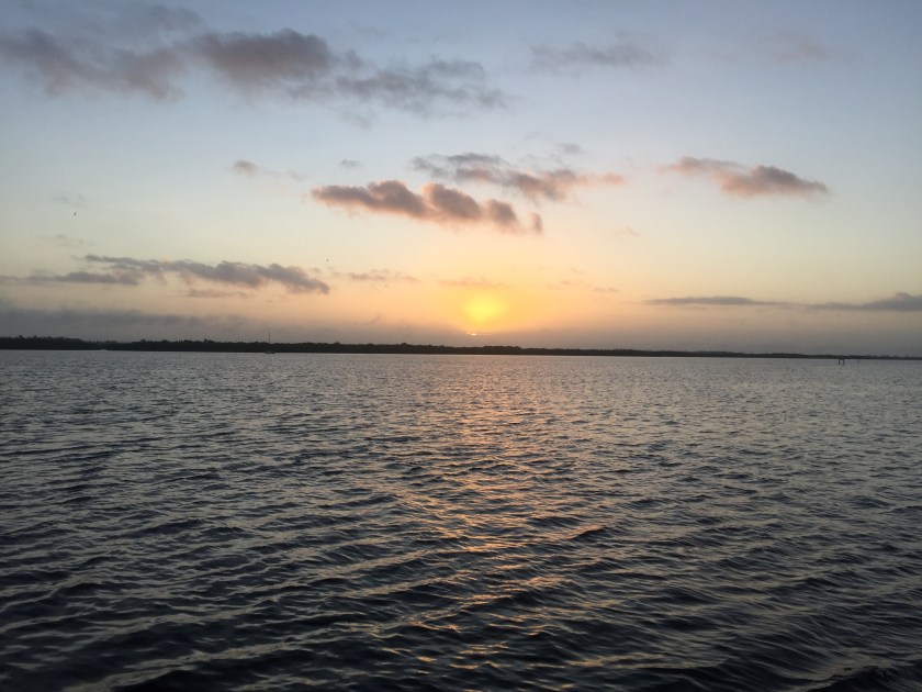 C0E4DE9A-BF9F-418D-B328-36CAF2DFD93F