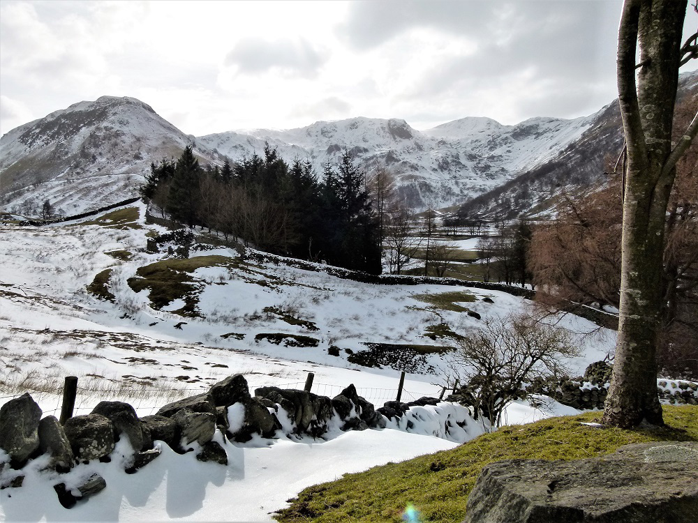 BA0B9979-0015-49E4-AAB3-C228090F9FEC