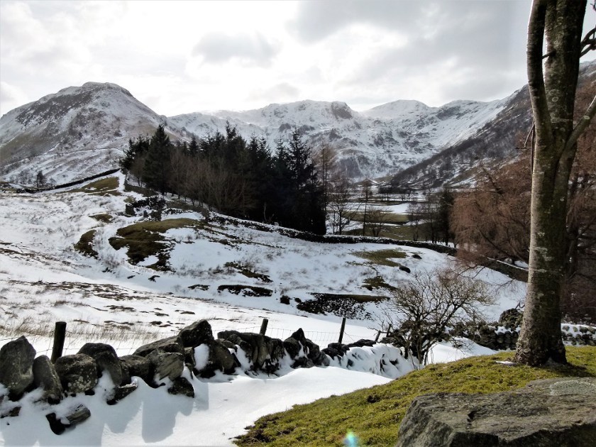 BA0B9979-0015-49E4-AAB3-C228090F9FEC