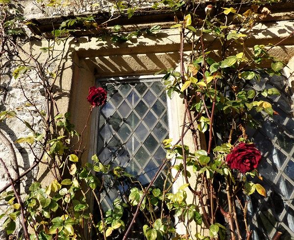 A4CA675F-BE20-479F-B995-47B84D7FFD24