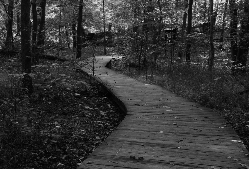 E9E2EDE3-9177-4A8E-A846-8A3550D0C1DE