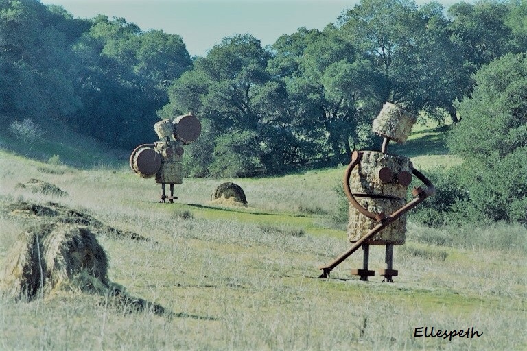 89E98B3E-427E-491A-93D5-3D6BDCF918E2