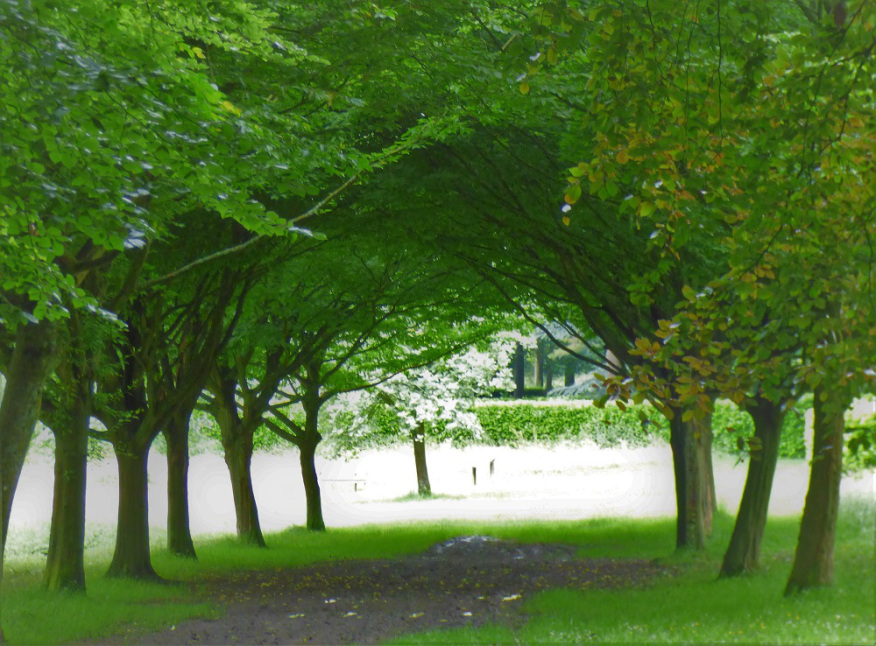 12388FC1-63EB-429B-84F6-2AC6DA3A79B4