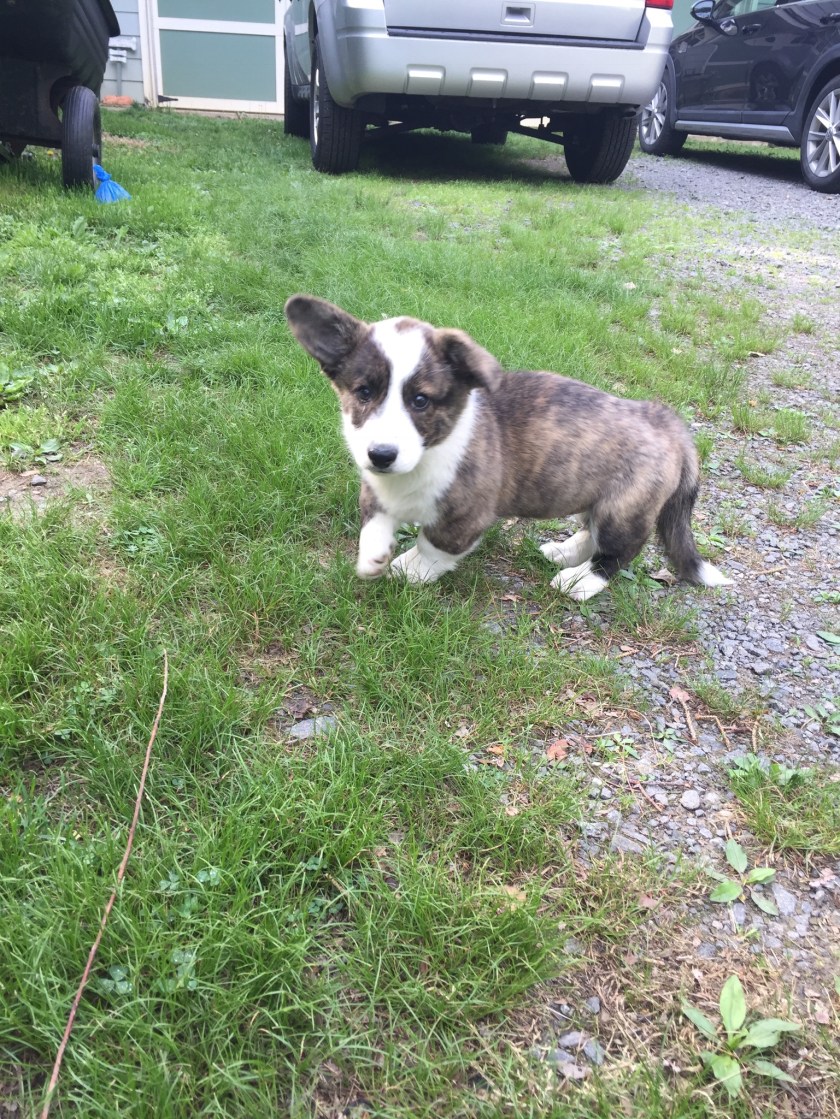 B5104CCF-8006-4FA7-AAB0-0021863E4FF7