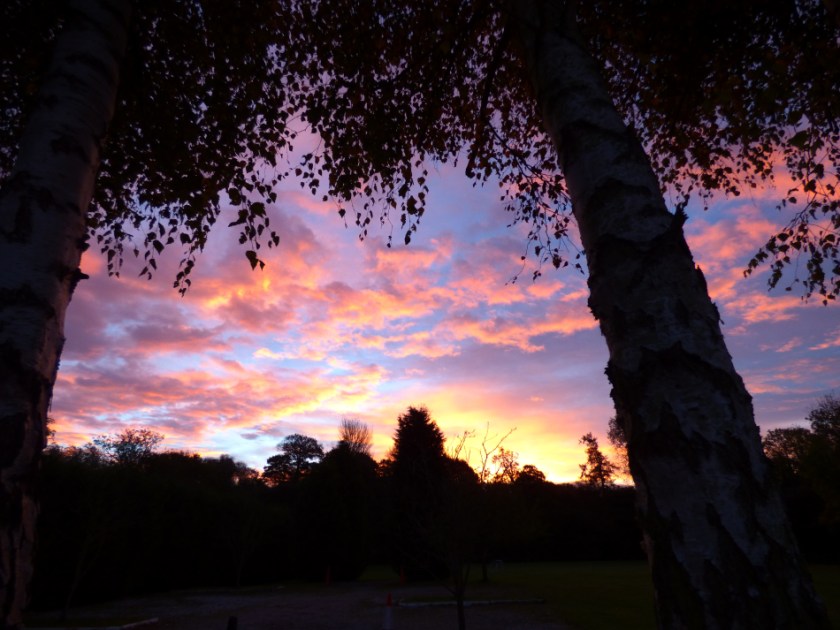 DD555E96-9672-4509-8254-C8176045F20C