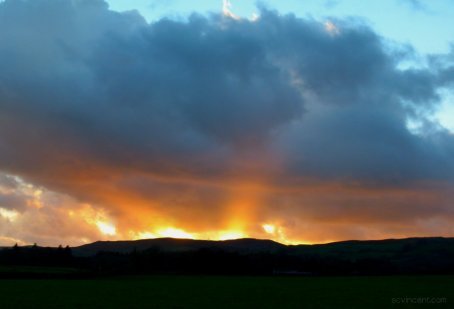 9CB501F1-3399-4D0A-B3B7-D99A3364C38B