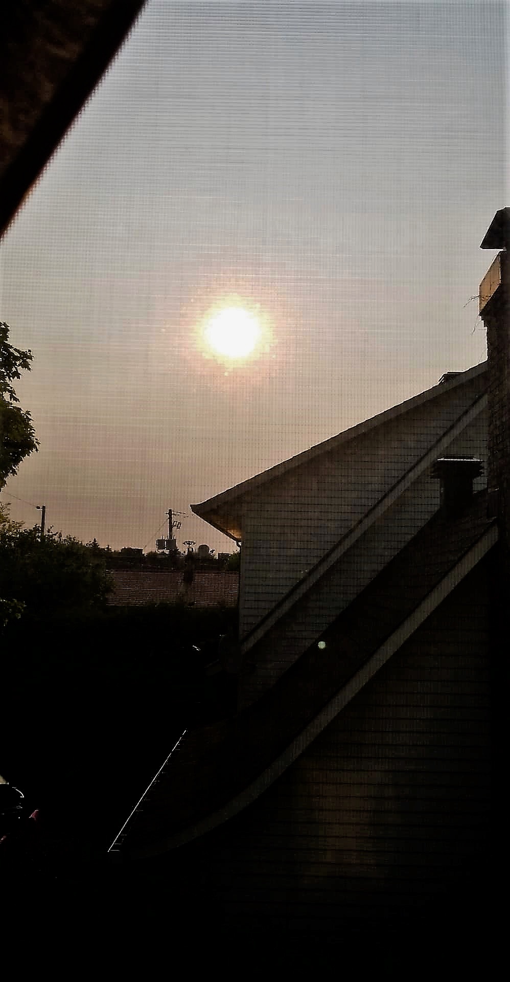 D28F88FC-EB3A-4BF4-B02C-387CC7EF23D9