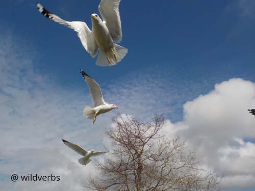 313F3C23-BAB1-437E-9295-09CE026517DD