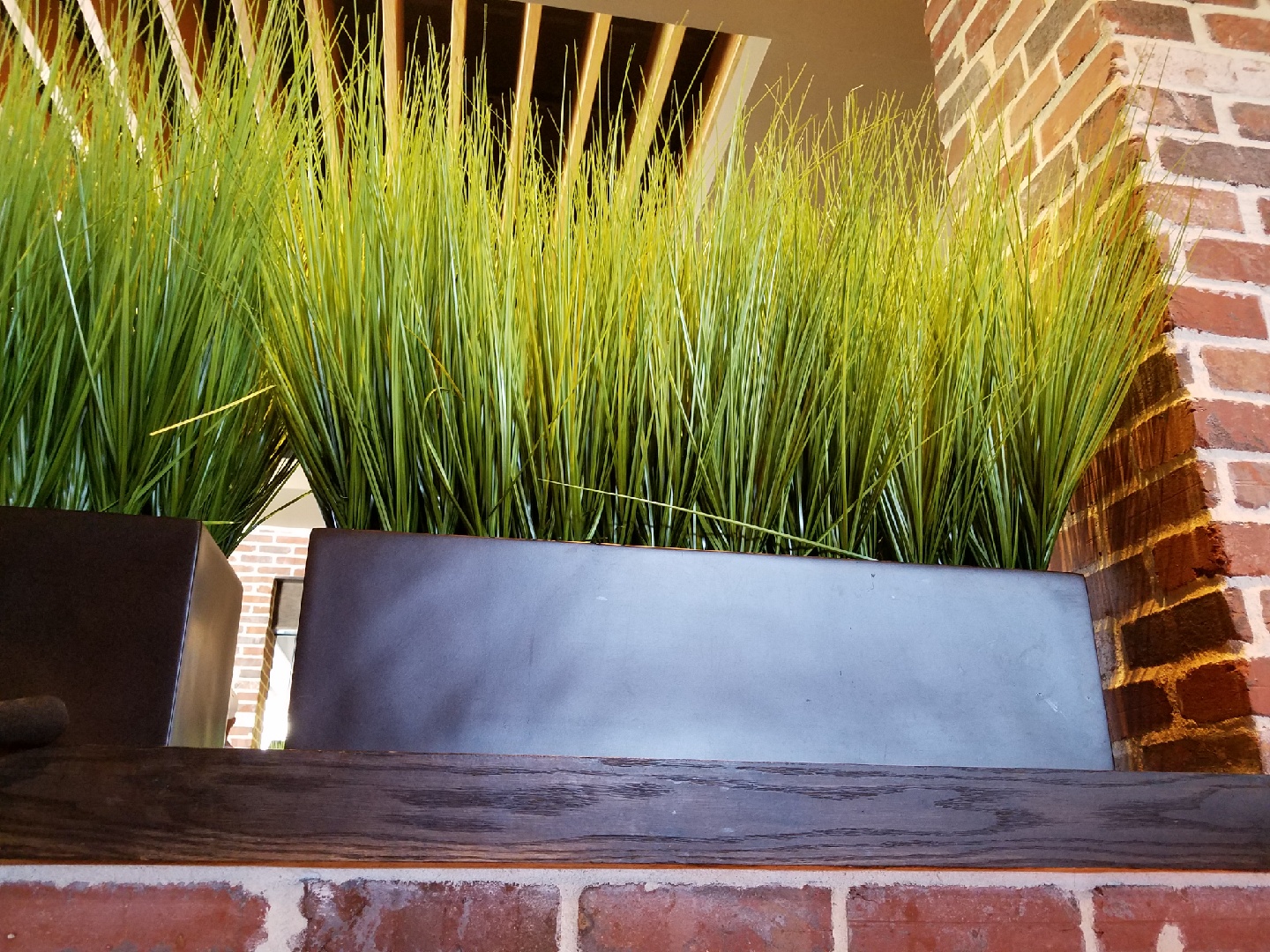 3B7CF6F5-7F56-4C7B-B6F3-EB9A68C5F1C0