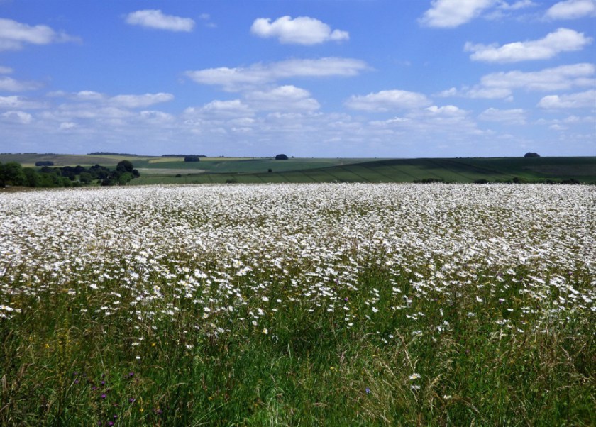 E5EABED7-AEBE-4307-A8CC-EF3E23995986