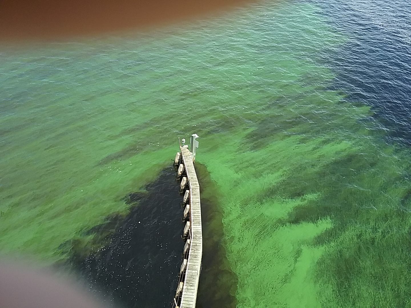 709E8C7F-2273-41A4-AACA-057B2818F905