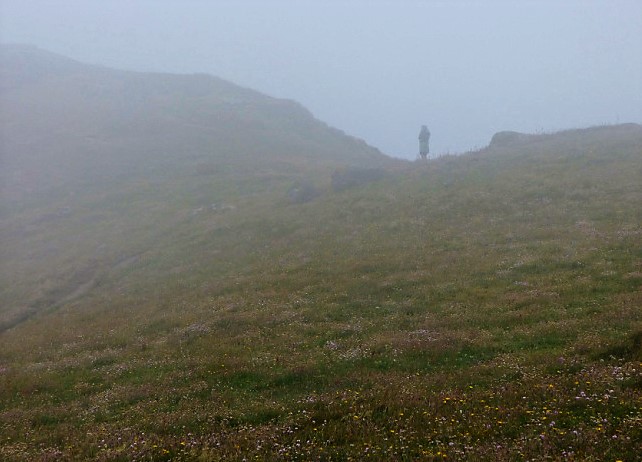 8A54D8F7-B1DC-449B-A76B-E462730D7061