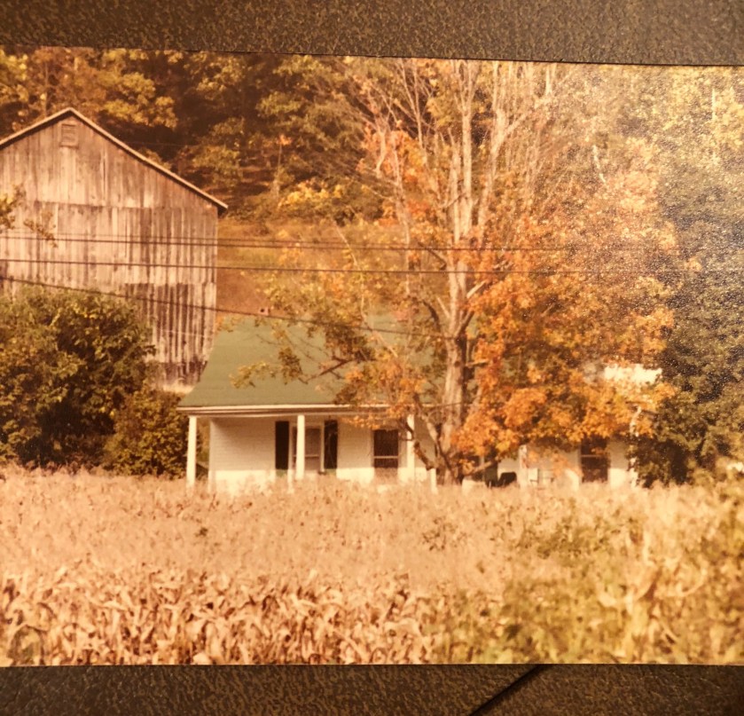 06C72D2B-F884-481B-B876-56424E4E0E3B