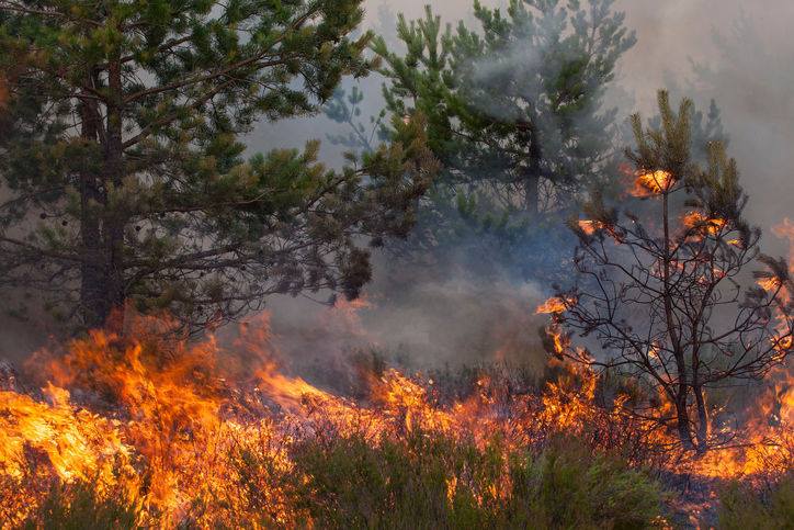 797C08C5-2CAF-4DFD-8E91-E6B26068CAD7