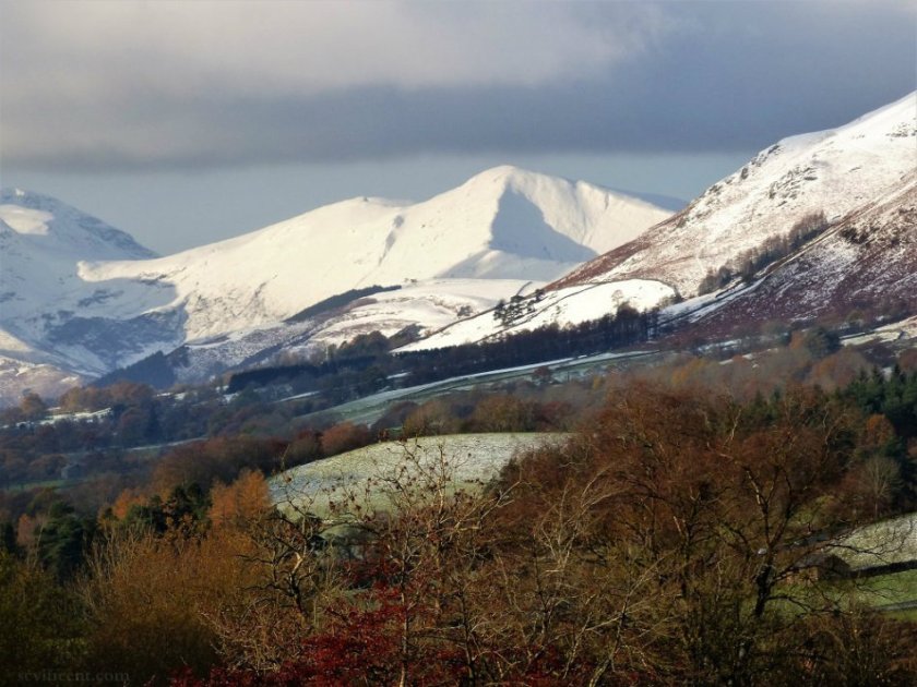 26222753-6F82-4EF3-B9E3-C3CEF374D442