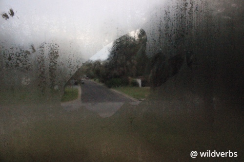 C002A974-C0AB-431D-B4FB-1FE3C7BB11E8