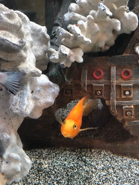 56DA6997-DDF6-4AB5-9F6E-C7F14BA61BDD