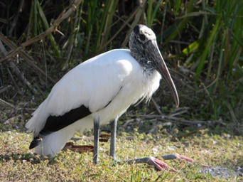 12A4DE29-5E4B-4D74-9160-ABDF98F0E645