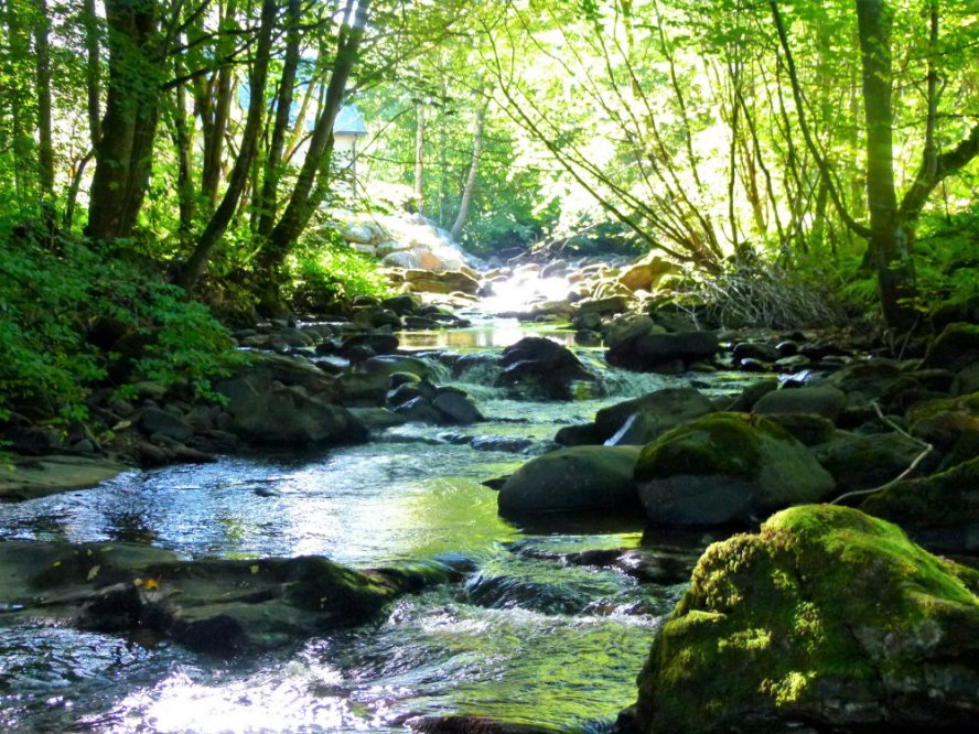 333A3C16-04C5-4673-AF6C-E9DB83BEA56D